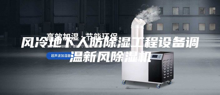 風冷地下人防除濕工程設備調溫新風除濕機