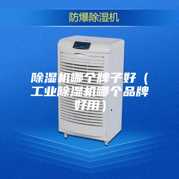 除濕機哪個牌子好（工業除濕機哪個品牌好用）