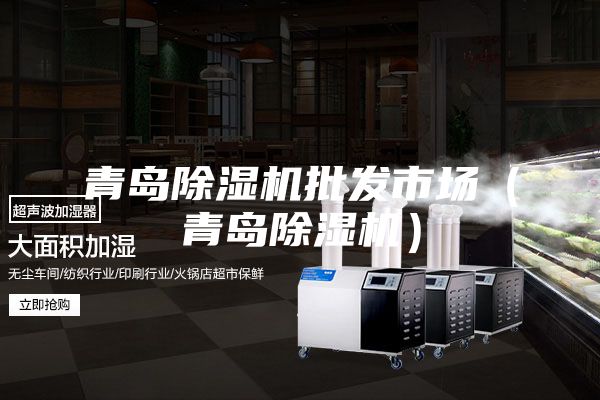 青島除濕機(jī)批發(fā)市場(chǎng)(青島除濕機(jī))