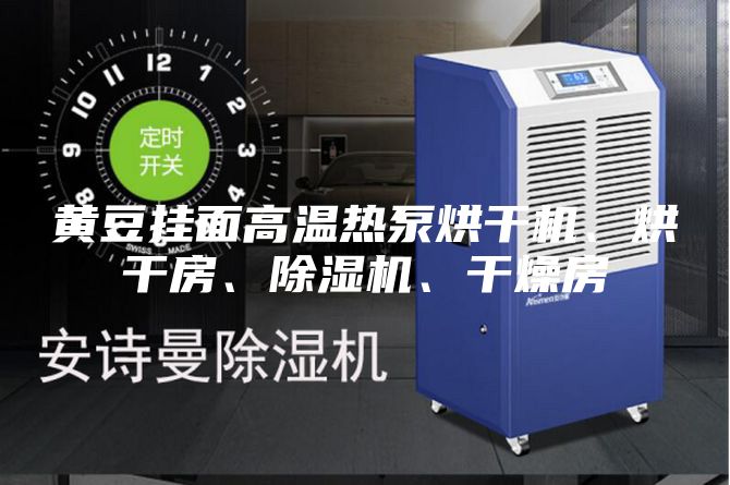 黃豆掛面高溫熱泵烘干機、烘干房、除濕機、干燥房