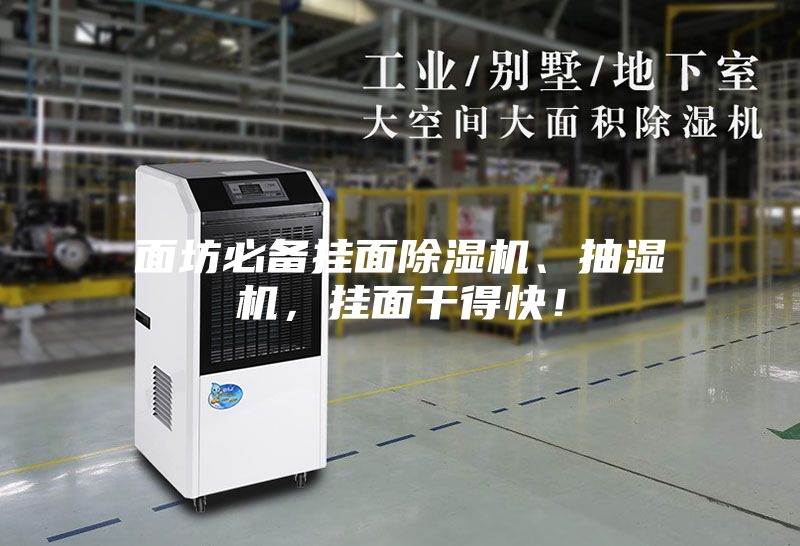 面坊必備掛面除濕機、抽濕機，掛面干得快！