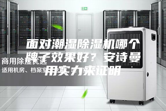 面對潮濕除濕機哪個牌子效果好？安詩曼用實力來證明
