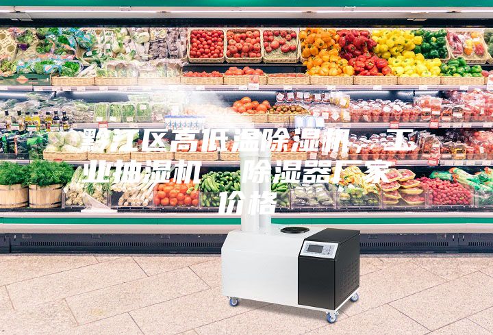 黔江區(qū)高低溫除濕機，工業(yè)抽濕機  除濕器廠家 價格
