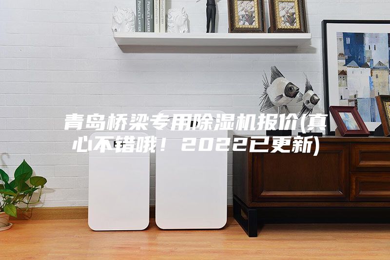 青島橋梁專用除濕機(jī)報(bào)價(jià)(真心不錯(cuò)哦!2022已更新)