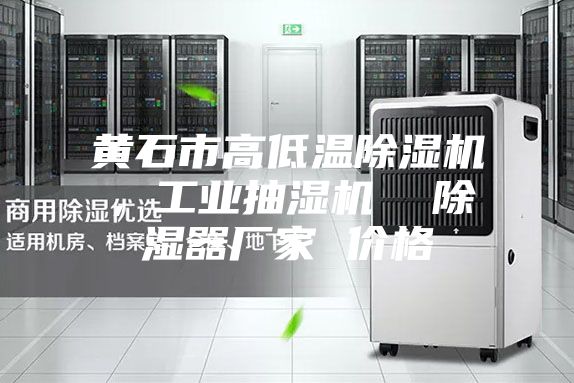 黃石市高低溫除濕機,工業(yè)抽濕機 除濕器廠家 價格