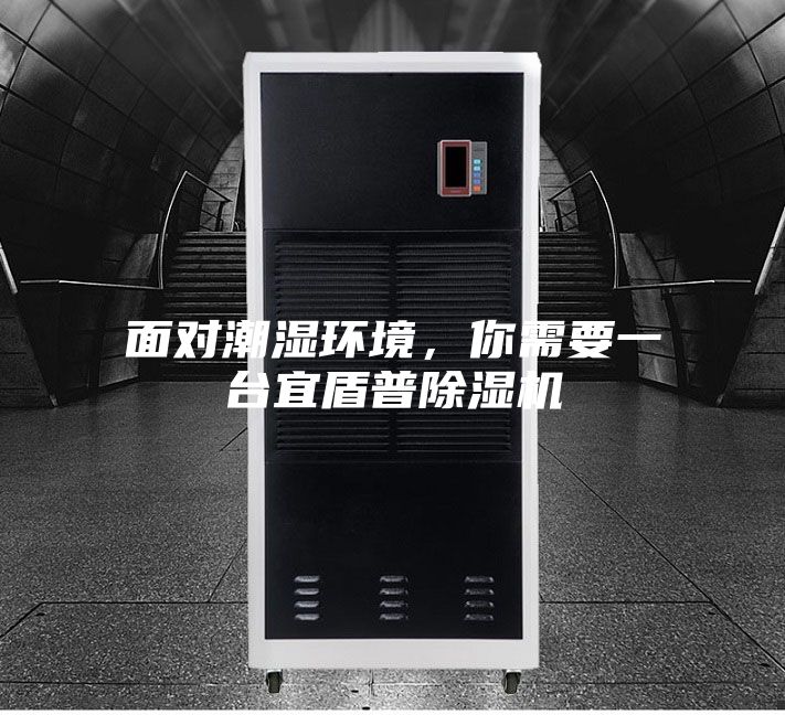 面對潮濕環境，你需要一臺宜盾普除濕機