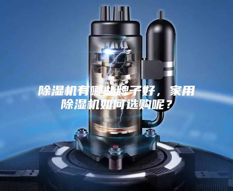 除濕機有哪些牌子好，家用除濕機如何選購呢？