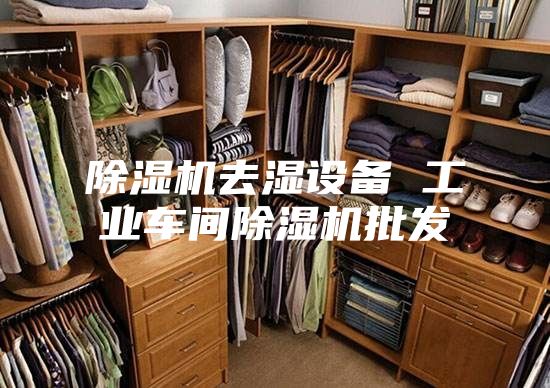 除濕機去濕設備 工業車間除濕機批發
