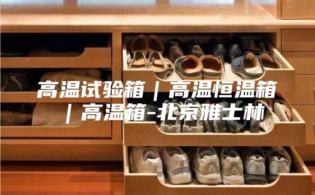 高溫試驗(yàn)箱|高溫恒溫箱|高溫箱-北京雅士林