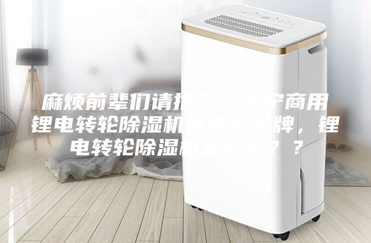 麻煩前輩們請(qǐng)推薦！南寧商用鋰電轉(zhuǎn)輪除濕機(jī)有哪些品牌，鋰電轉(zhuǎn)輪除濕機(jī)如何選？？