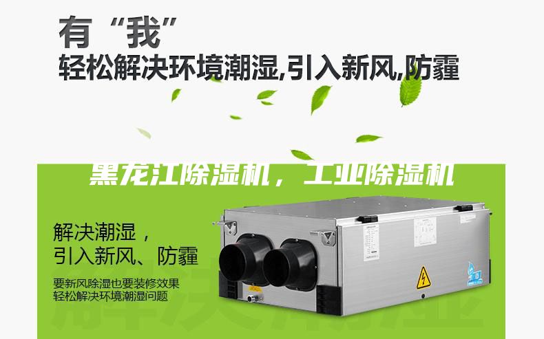 黑龍江除濕機,工業除濕機