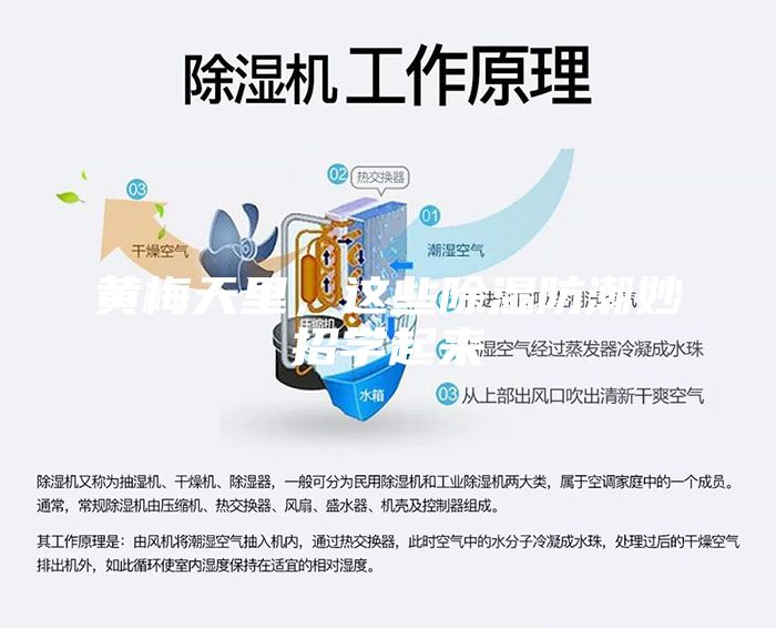 黃梅天里，這些除濕防潮妙招學起來