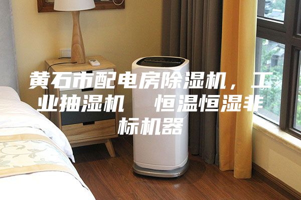 黃石市配電房除濕機(jī),工業(yè)抽濕機(jī) 恒溫恒濕非標(biāo)機(jī)器